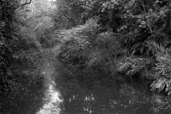 202412Voigtlander-BL