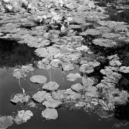 2024Agfa-Isolette-I1