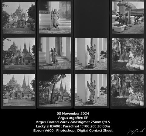 ArgusArgoflexEFDigitalContactSheet